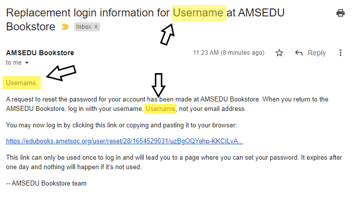 email with link to reset the password, all instances of the username are highlighted