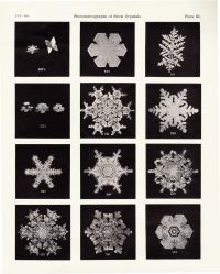 Plate of snow crystals from Bentley (1902)