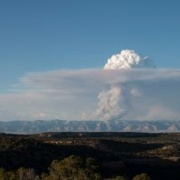 13th Fire and Forest Meteorology Virtual Symposium