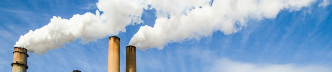Statement on Public Availability of Scientific Information and Scientific Evidence on Climate Change
