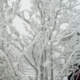 rime